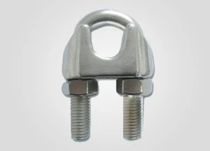 Corda de aço inoxidável Din1142 clipes grampos