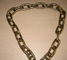 G70 Transport Chain Nacm 96